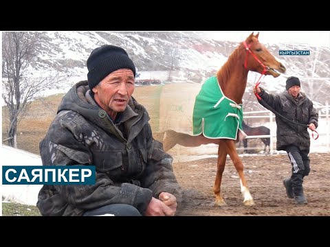 Видео: САЯПКЕР // КӨРӨҢГӨ
