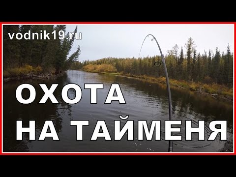 Видео: Атака ТАЙМЕНЯ НА МЫША днем! Видео рыбалки на трофейного тайменя в реальном времени