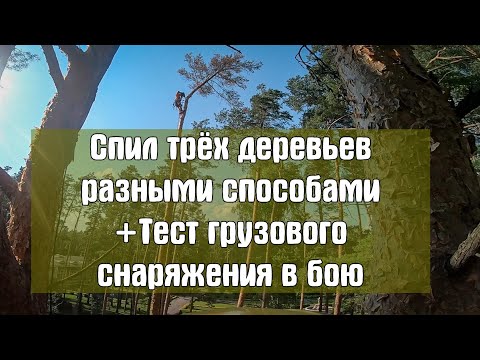 Видео: Удаление арбористами трёх деревьев разными способами. Тест снаряжения от Arbostuff и СВТ