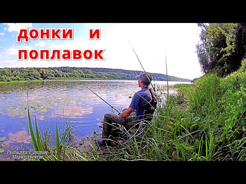 Видео: И СРАЗУ ПОКЛЁВКА. Рыбалка на ДОНКИ и ПОПЛАВОК. Ока  середина августа.