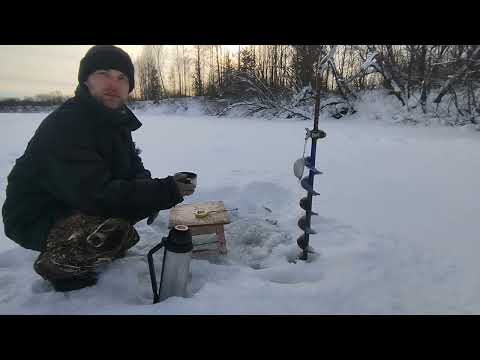 Видео: Немного рыбалки