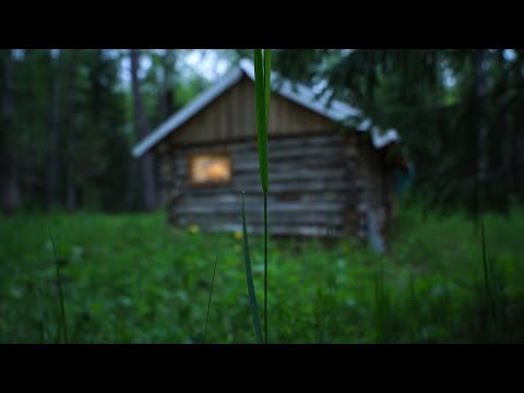 Видео: В избе кто-то был. Попал под сильный ливень. Рыбалка на хариуса.