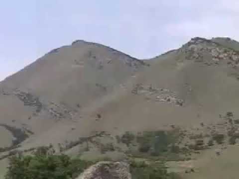 Видео: Писки Мях|