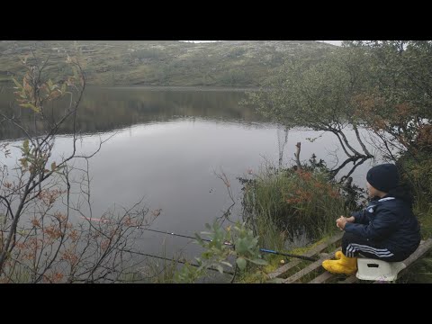 Видео: РЫБАЛКА В ТАЙГЕ НА КРАЙНЕМ СЕВЕРЕ. КТО СКАЗАЛ ЧТО РЫБА КЛЮЕТ НА ПУСТОЙ КРЮЧОК?