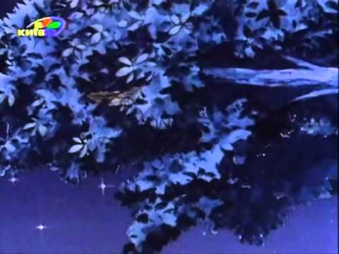 Видео: Жизнь Кэнди