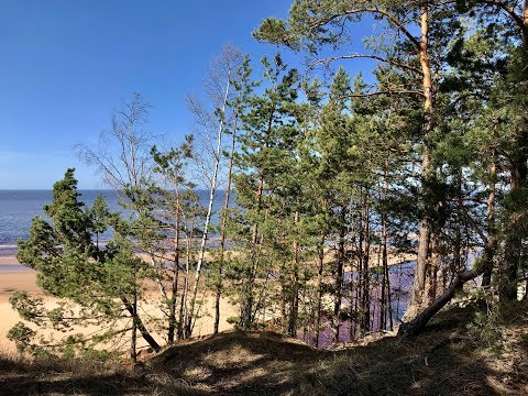 Видео: Саулкрасты.Saulrieta Taka(тропа заката)