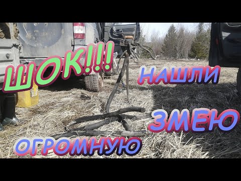 Видео: Медный ЗМЕЙ напал на нас!))))Металлокоп удался на славу!!!!