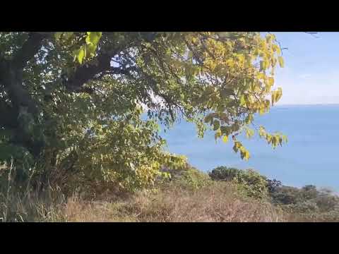 Видео: Керчь  Прогулка от парка вдоль склона до ул  Курортная 21 10 25