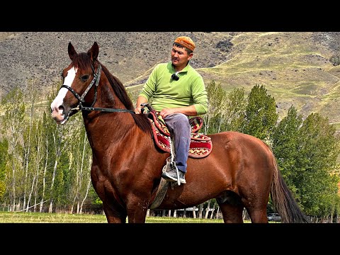 Видео: УЛАГЫ 1000 ЛЮБОЙ ЖЫЙЫНГА ЖАРАЙТ 🤯 #байтв