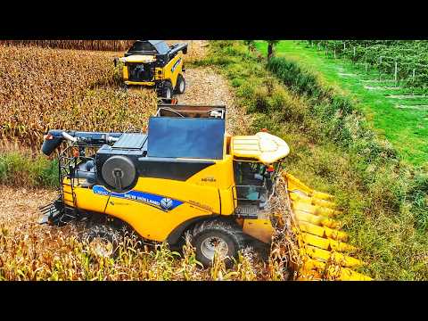 Видео: УРОЖАЙ КУКУРУЗЫ 2024 2X NEW HOLLAND CR