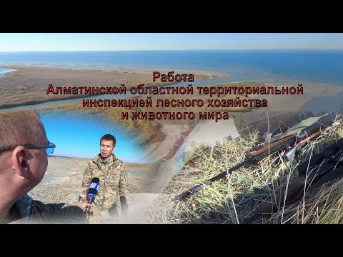 Видео: Результаты работы природоохранной инспекции по браконьерам по территории Жетысу. 16.10.20