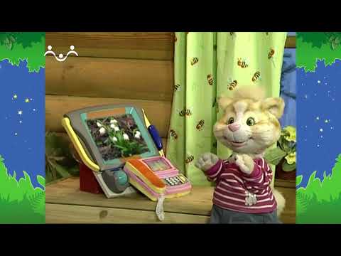 Видео: Вечер в Шишкином Лесу. Нужны все на свете