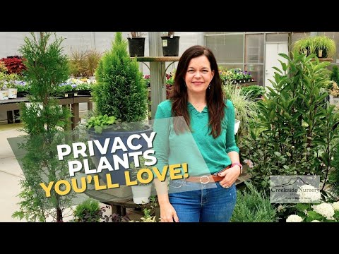 Видео: Лучшие деревья и кустарники для создания приватности на заднем дворе
