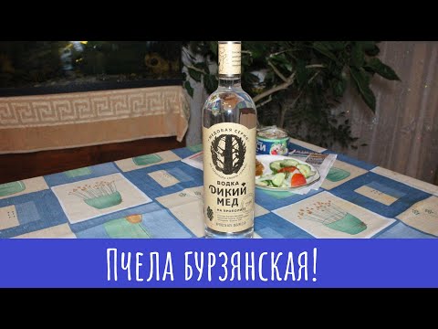 Видео: Водка Дикий Мед на прополисе. За пчел!