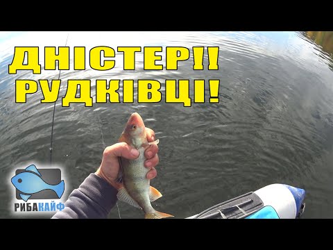 Видео: ДНІСТЕР!!! РУДКІВЦІ!!! День другий Кайфуєм від окуня і випускаємо знов багато щуки