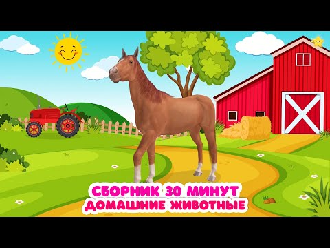 Видео: Сборник 30 мин Звуки домашних животных для самых маленьких детей