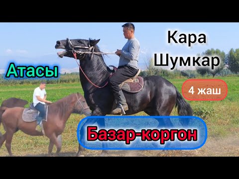 Видео: Кара дакан