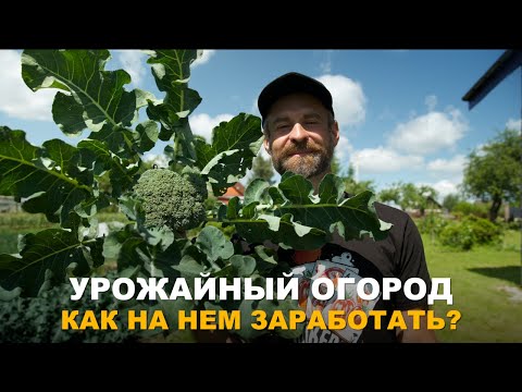 Видео: ДАЖЕ НЕБОЛЬШОЙ ОГОРОД ПРИНЕСЁТ ПРИБЫЛЬ. Овощные культуры для второго урожая, прибыльность огорода.
