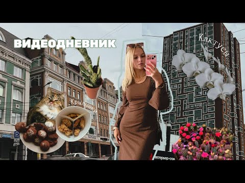 Видео: Видеодневник | хейтеры, покупки, философия