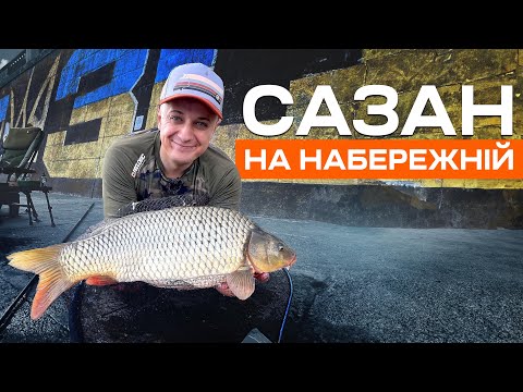 Видео: ДИКІ САЗАНИ НА ДНІПРІ. Фідер на київській набережній.