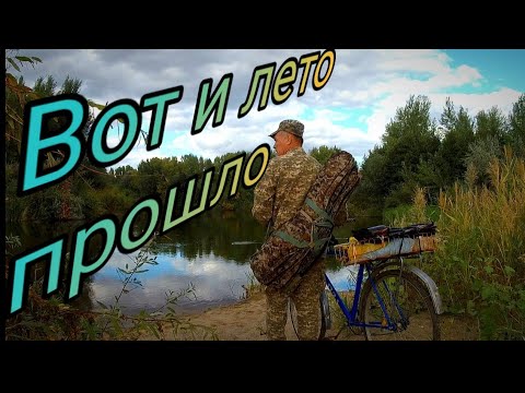 Видео: Вот и лето прошло  Рыбалка в сентябре на р  Илек г  Актобе 2023г