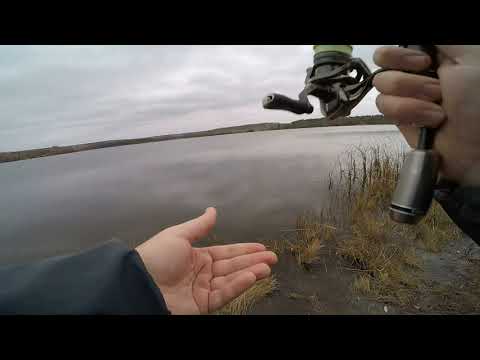 Видео: Tailwalk Super Ajist TZ 60/STT. Настоящий ТОП.