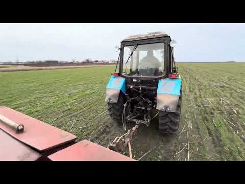Видео: Вносимо селітру на пшеницю Шестипалу по 150 кг на МТЗ-892.2 і СЗ-3,6