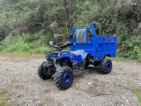 Видео: Грузовой квадроцикл - муравей Zongshen Mini Farmer 150 куб.см.