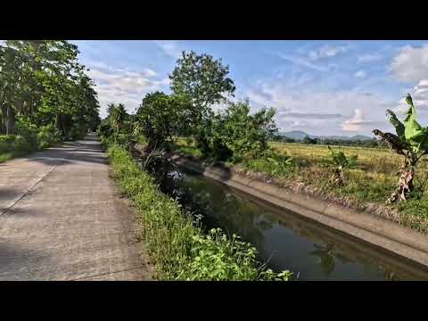 Видео: Прогулка в понедельник на Филиппинах