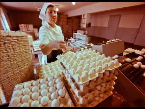 Видео: Механизация птицеферм, 198х