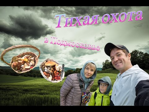 Видео: Поход за грибами по подмосковным лесам ( Тучково )