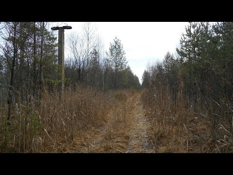 Видео: Вот что кроме ЖД металла можно найти на месте где когда-то была УЖД.