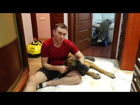 Видео: Саркома