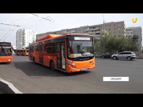 Видео: Садоводы Оренбурга продолжают жаловаться на дачные автобусы