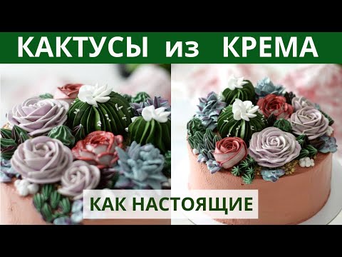 Видео: Это из КРЕМА? КАКТУСЫ и суккуленты для мужского торта. Красивее, чем ТЮЛЬПАНЫ.