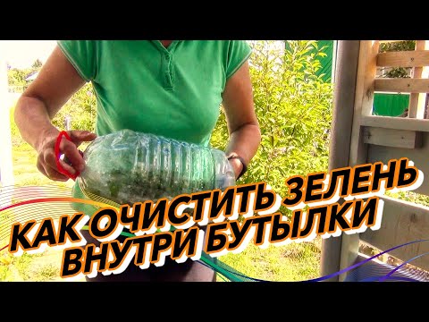 Видео: Как отчистить зелень внутри бутылки