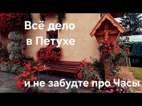 Видео: В чём УСПЕХ АВСТРИЯКОВ