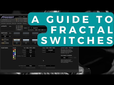Видео: Руководство по фрактальным переключателям (Axe-FX 3, FM9, FM3)
