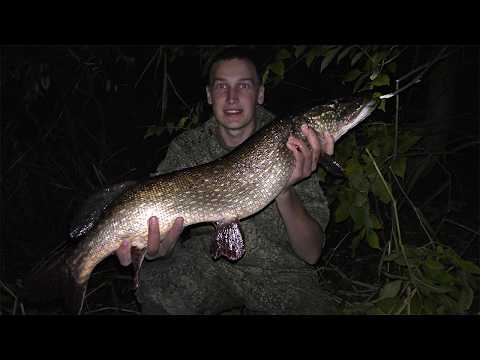 Видео: ЩУКА РАЗМЕРОМ С СОБАКУ!  ПОЙМАЛИ ОГРОМНУЮ ЩУКУ.