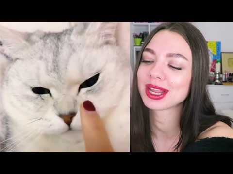 Видео: Попробуй Не Сказать ВАУ Челлендж