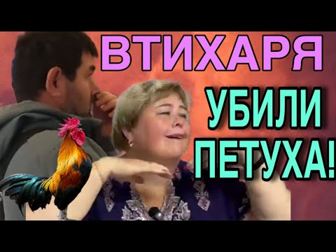 Видео: ВТИХАРЯ УБРАЛИ ПЕТУХА. ОЛЬГА УРАЛОЧКА  LIVE. ОБЗОР.