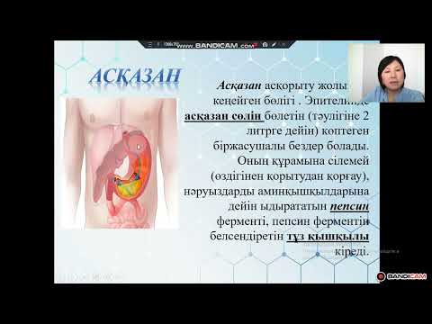 Видео: 9 сынып. Ыдырау үдерістері