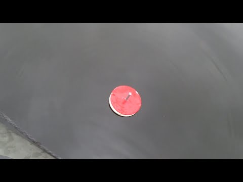 Видео: Щука на кружки