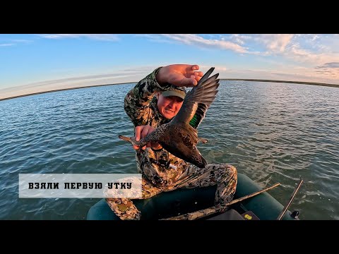 Видео: Открытие сезона на водоплавающая дичь вместе с ТОР
