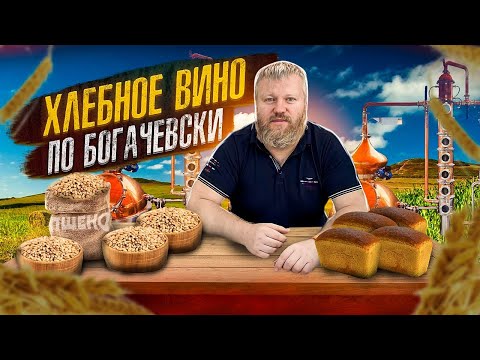 Видео: Пшеничное хлебное вино по Богачевски