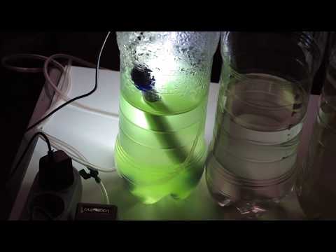 Видео: Хлорелла за 2 дня без удобрений