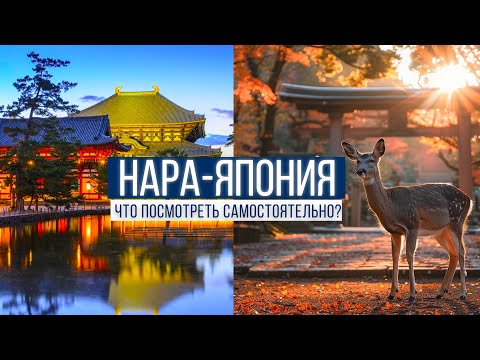 Видео: NARA Japan | ЯПОНИЯ | НАРА | ГОРОД ОЛЕНЕЙ