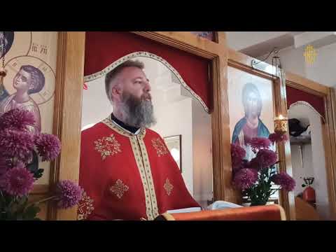 Видео: Задушнице