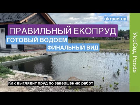 Видео: Правильный ЭКОПРУД. Готовый водоем. Финальный вид