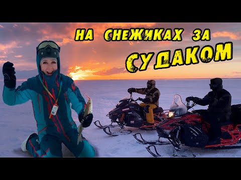 Видео: СЕСТРЁНКА Открывает СЧЁТ! Пурга сбивает с ног! Зимняя рыбалка на СУДАКА на ОВХ. Судак на Вибы 2024